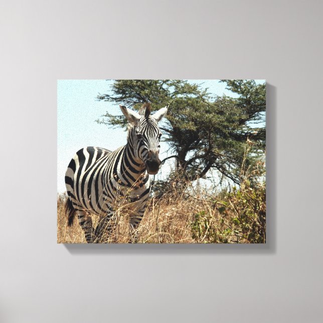 zebra wild canvas print (Front)