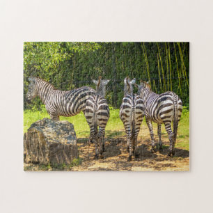 Zebra wildlife jigsaw puzzle