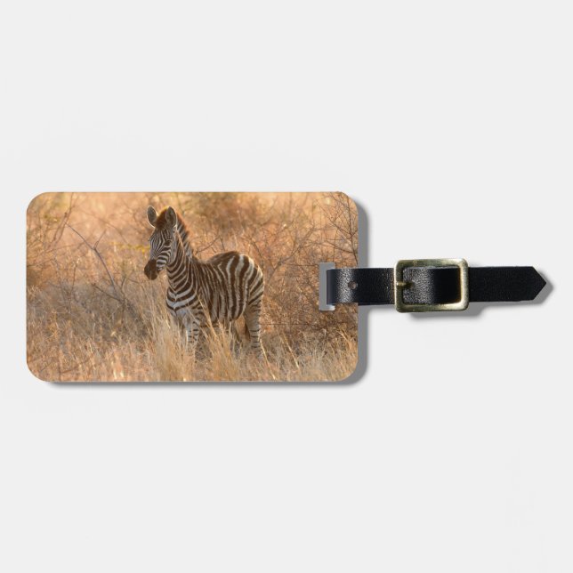 Zebra wildlife photography Africa Safari animal Luggage Tag (Front Horizontal)