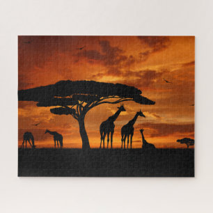 Zebra with Colt Jigsaw Puzzle