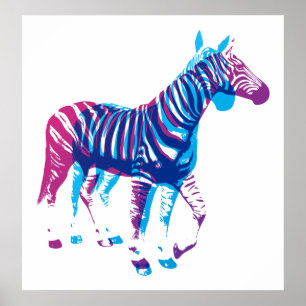 Zebras - Blue & Purple Poster