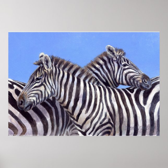 Zebras by Donna Crawshaw Poster (Front)