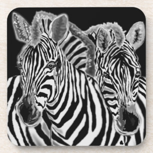 Zebras Coaster