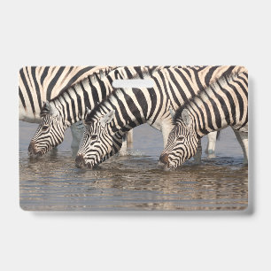 Zebras drinking ID badge