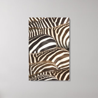 Zebras' (Equus quagga) stripes, Masai Mara Canvas Print