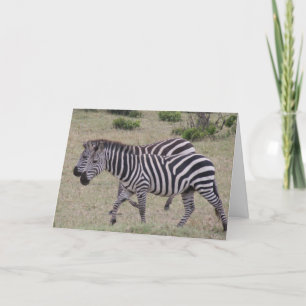 zebras forever holiday card