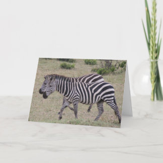zebras forever holiday card