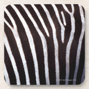 zebra's hide coaster