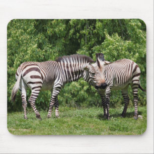 Zebras in Love Mousemat