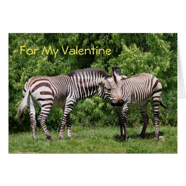 Zebras in Love Valentine's Card (Front Horizontal)