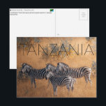 Zebras in Serengeti, Tanzania Travel Postcard<br><div class="desc">Send this beautiful postcard to your loved ones featuring a small herd of Plains Zebra grazing across the golden savannah of Serengeti National Park.</div>