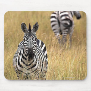 Zebras in tall grass mouse pad