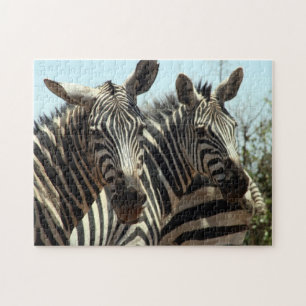 zebras jigsaw puzzle