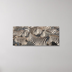 Zebras, Kenya, Africa Canvas Print
