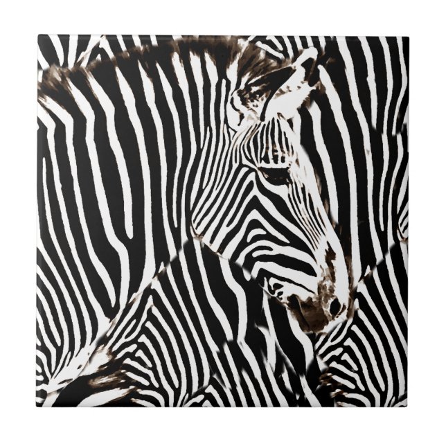 Zebras love_ tile (Front)