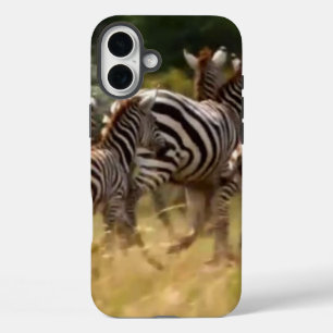 Zebras on the Move: A Journey of a Thousand Miles iPhone 16 Plus Case