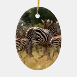 Zebras on the Move: A Journey of a Thousand Miles Ceramic Tree Decoration