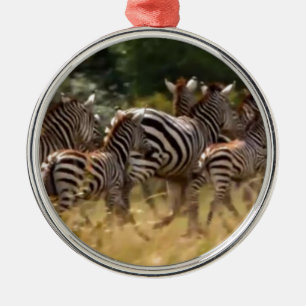 Zebras on the Move: A Journey of a Thousand Miles Metal Tree Decoration