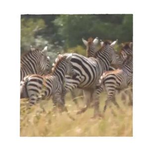 Zebras on the Move: A Journey of a Thousand Miles Notepad