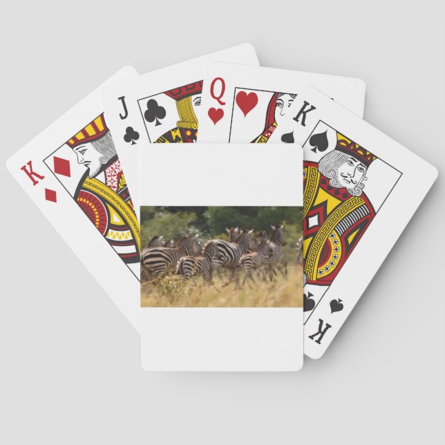 Zebras on the Move: A Journey of a Thousand Miles Playing Cards (Back)