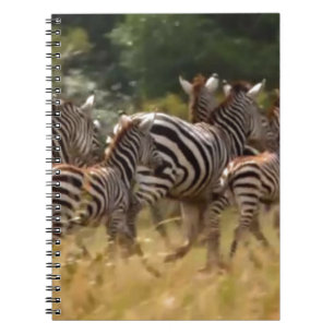 Zebras on the Move: A Journey of a Thousand Miles Spiral Notebook