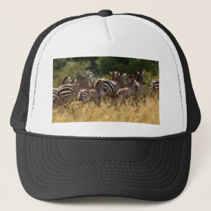 Zebras on the Move: A Journey of a Thousand Miles Trucker Hat