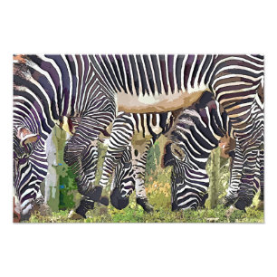 ZEBRAS PHOTO PRINT