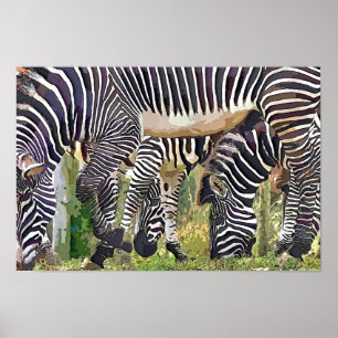 ZEBRAS POSTER