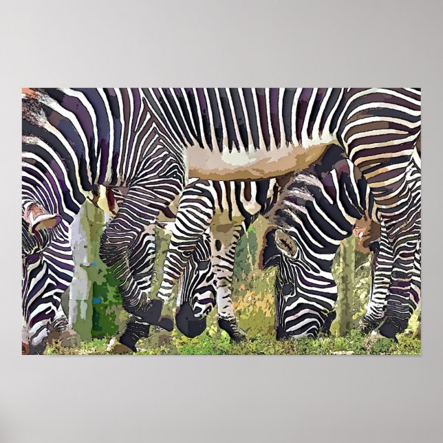 ZEBRAS POSTER (Front)