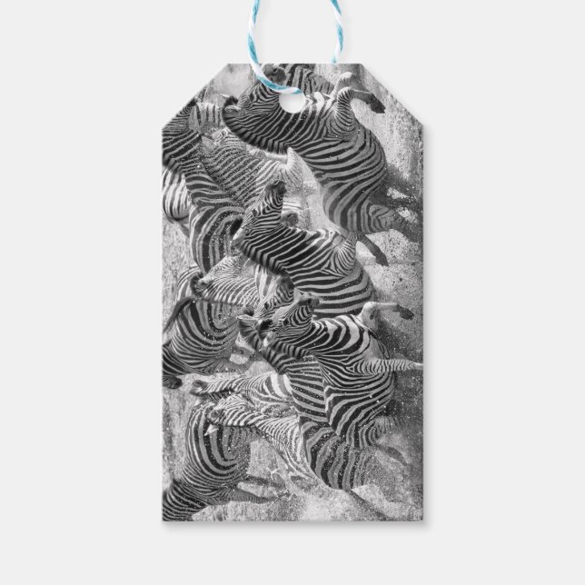 Zebras running gift tags (Front)