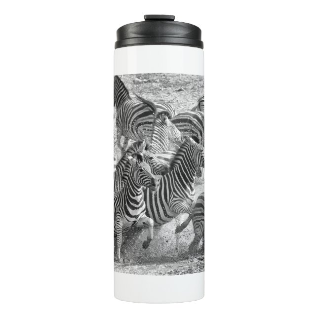 Zebras running thermal tumbler (Front)