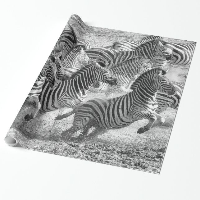 Zebras running wrapping paper (Unrolled)