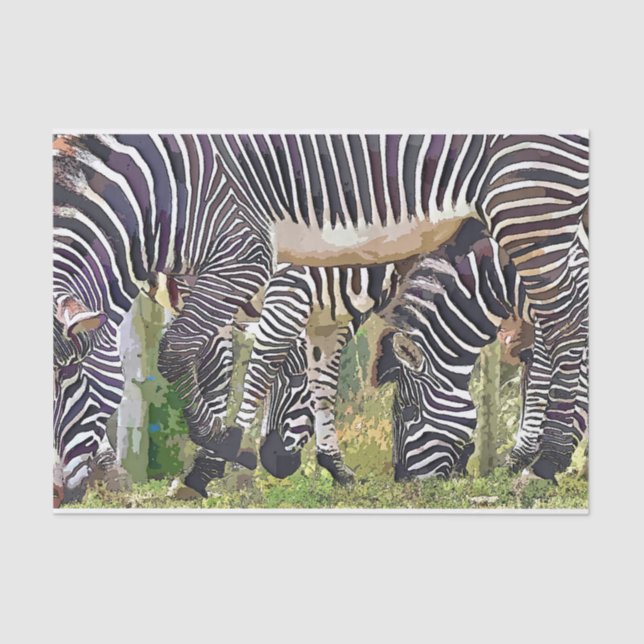 ZEBRAS TISSUE PAPER (Front)