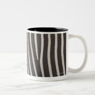 Zebras Two-Tone Coffee Mug