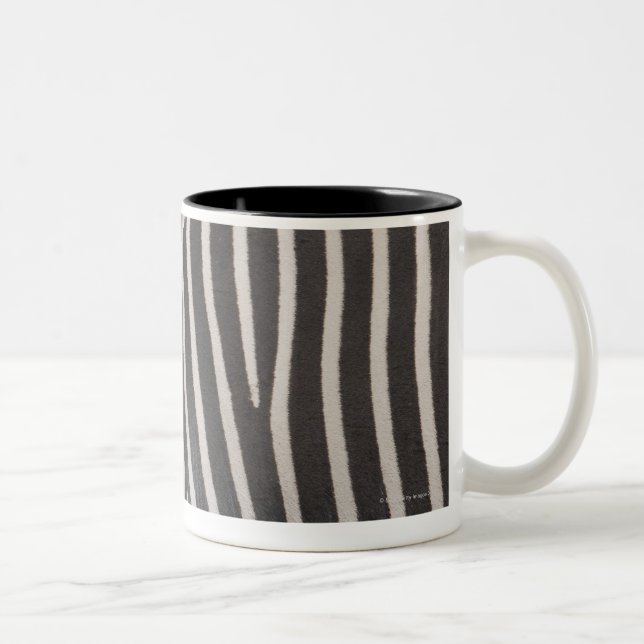 Zebras Two-Tone Coffee Mug (Right)