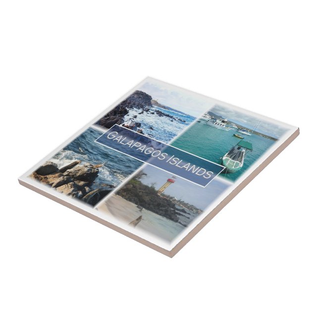 zEC003 GALAPAGOS Islands, Mosaic, Ecuador, Tile (Side)