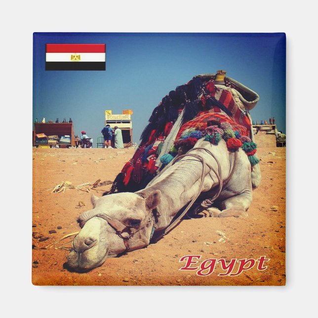 zEG021 EGYPT, Camel, Africa, Fridge Magnet (Front)