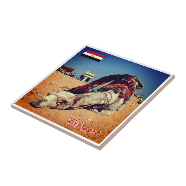 zEG021 EGYPT, Camel, Africa, Tile (Side)