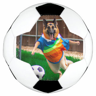 Zelda playing soccer  ball
