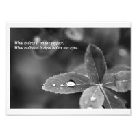 Zen and Taoist Mindfulness Meditation Photograph