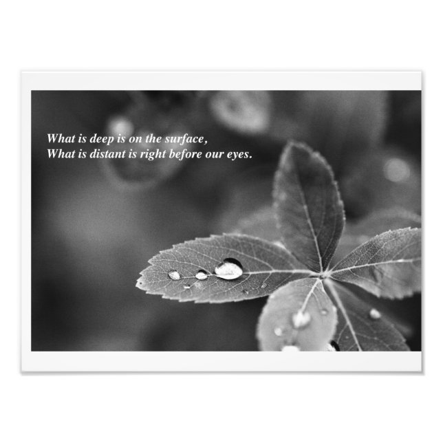 Zen and Taoist Mindfulness Meditation Photograph (Front)