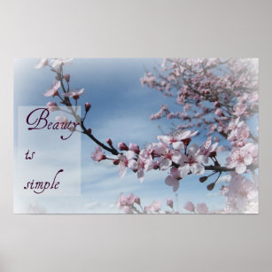 Zen- Beauty is Simple Cherry Blossom Poster