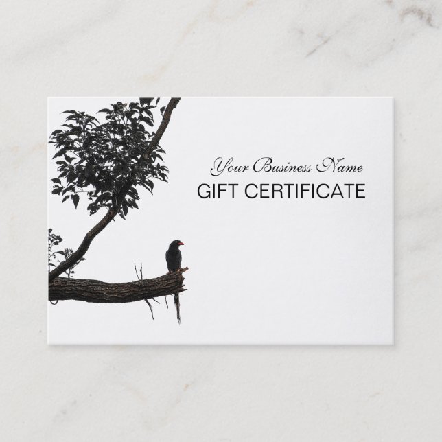 ©Zen Bird Oriental Photography Gift Certificate (Front)
