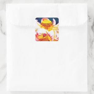 Zen Blooming Pink Lotus Flower Watercolor Square Sticker