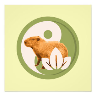 Zen Capybara Yin Yang Photo Print