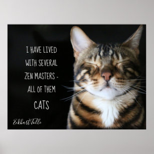 Zen Cat/ Cat Quote Poster