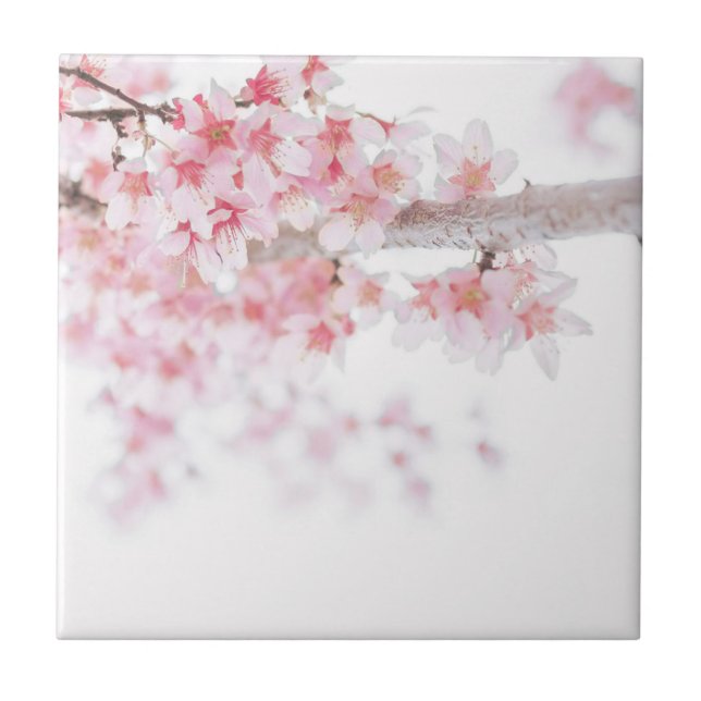 ZEN CHERRY BLOSSOM CERAMIC FLORAL TILE (Front)