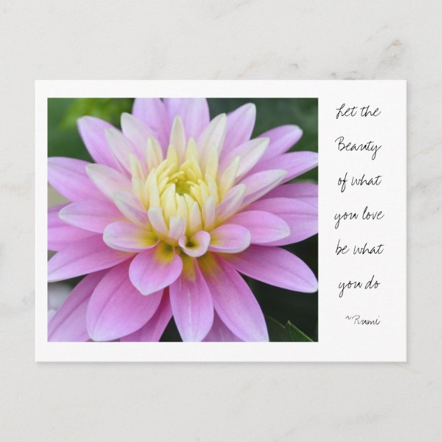 Zen Flower- Dahlia Postcard Rumi Quote (Front)