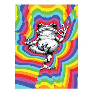 Zen Frog Masterpiece Photo Print