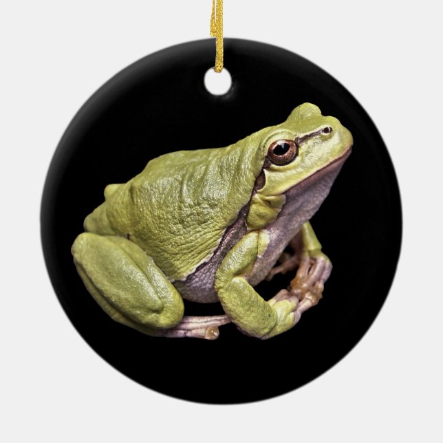 Zen Frog Pale Green Treefrog Black Ornament (Back)